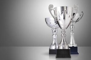 Elfedritsche-Cup 2013